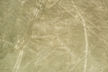 Nazca Lines geoglyph of the condor, Nazca Desert, Peru.