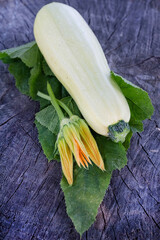 One zucchini, flowers and leaves are depicted on a dark wooden background. © Iryna