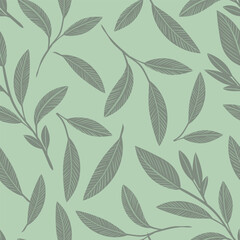 Sage herb vector repeat pattern design