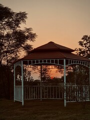 sunset in the park