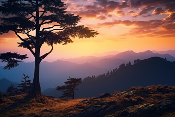Obraz premium A beautiful lone tree stands tall on top of a mountain, illuminated by the warm hues of a sunset. This picture can be used to convey a sense of solitude, tranquility, and the beauty of nature's untouc