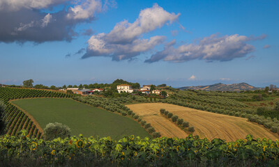 Beautiful landscape with countryside, mountain and cloudy sky, Marche region, Italy - 650367159