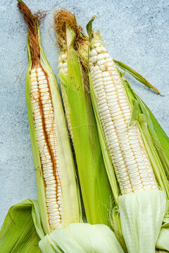 Corn on gray surface