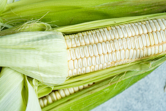 Corn on gray surface