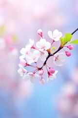 Naklejka na ściany i meble Beautiful spring nature blossom image