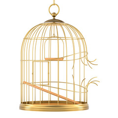 Broken golden birdcage, 3D rendering isolated on transparent background