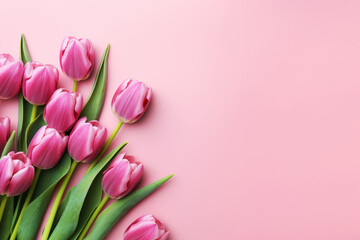 Pink tulips flowers on pink background, greeting card, with space for text