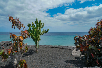 Puerto del Carmen is one of the most important tourist resorts on the island and stands out above...