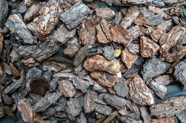 Decorative background of small brown pieces of tree bark. Natural texture
