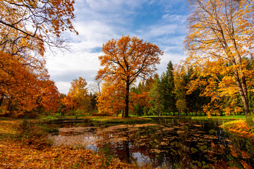 Catherine park in autumn foliage, Pushkin, St. Petersburg, Russia