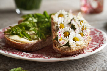Common daisy and ground elder on slices of bread in spring