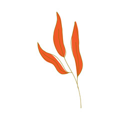 illustration of an flower isolated