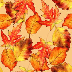 Naklejka na ściany i meble illustration of dry leaves pattern
