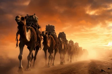 Fotobehang Desert-adapted Caravan camels. Africa travel ride. Generate Ai © juliars
