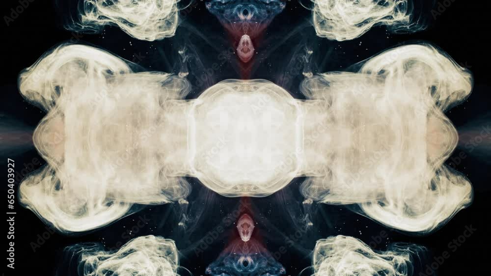 Canvas Prints illustration mirrored symmetric intricate design background