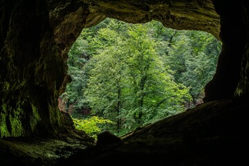 a view from inside a cave looking out on a river and forest