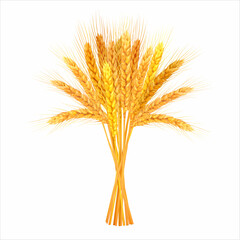 Bunch of golden wheat ears isolated on white. Vector illustration.