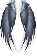 Wing PNG image transparent background