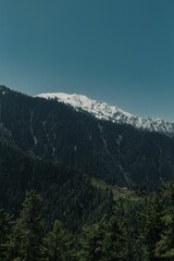 Majestic mountain range covered in lush green vegetation with a snow-capped peak in Shogran Pakistan