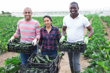 Portrait of successful male and female farmers of different nationalities standing on farm...