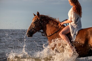 Female rider gracefully traversing a body of water atop a beautiful horse