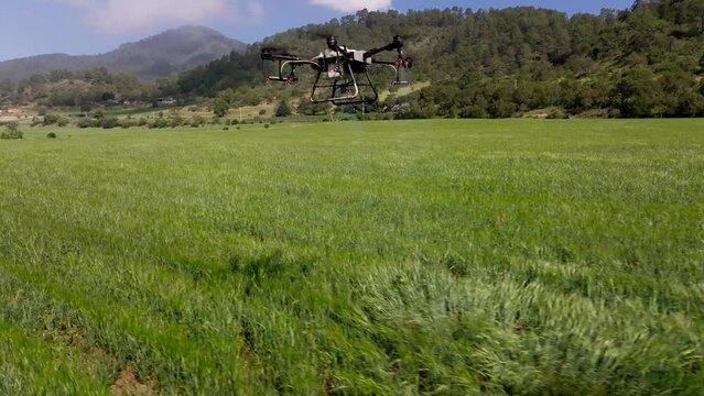 Agriculture Drone fumigating barley