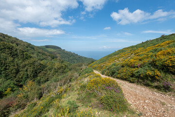 Photo of the footpath leading down to Glenthorne beach in Exmoor National Park