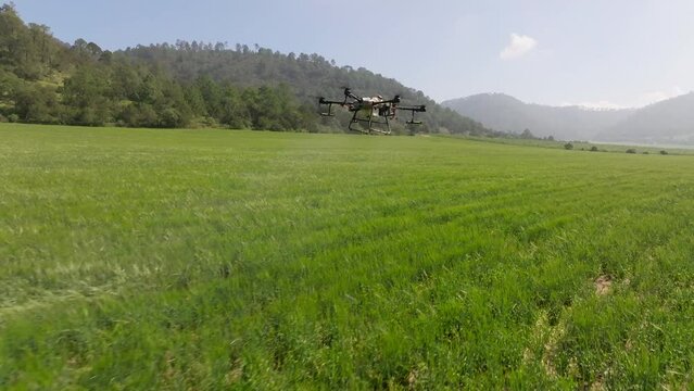 Drone fumigating barley 60fps