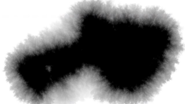 Black ink stain on a white background