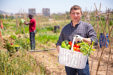 Successful farmer with basket of ripe vegetables at the plantation