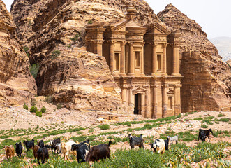 Ancient Ruins in Petra of The Monastery (El Dir) with Animals Grazing