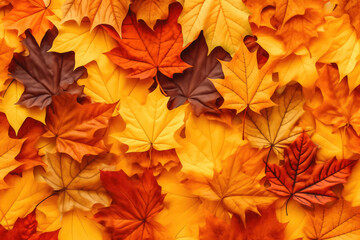 Naklejka na ściany i meble Close up of beautiful orange leaf representing autumn decoration