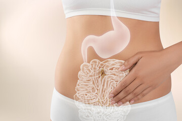 Woman with healthy digestive system on light background, closeup. Illustration of gastrointestinal...