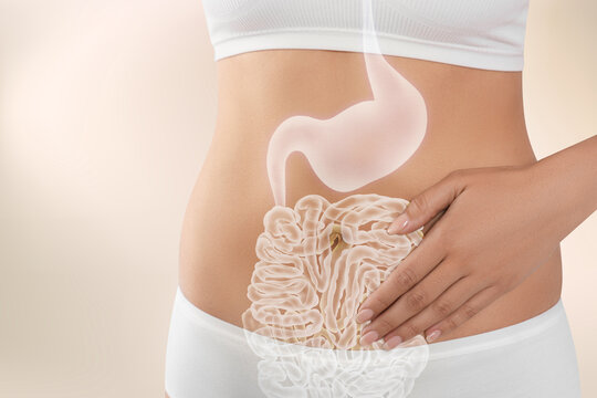 Woman with healthy digestive system on light background, closeup. Illustration of gastrointestinal tract
