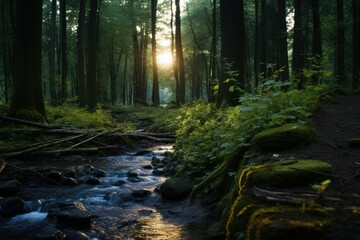 Mystical Twilight Woods: 8K Photorealism
