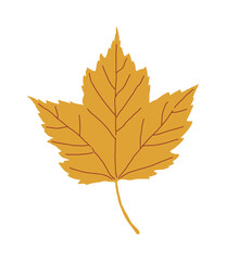 Hand drawn illustration of fallen leaves from trees in fall season. Foliage of various colors is produced.