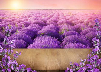Wooden deck among blooming lavender field at sunset. Space for text