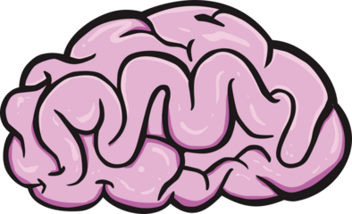 illustration of brain human