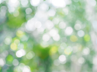 Fototapeta premium Abstract green color with shiny light for natural background