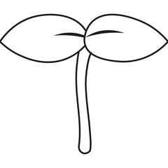 뽀슬뽀슬 새싹