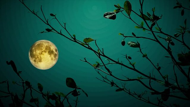 Silhouette of Tree Twigs with Full Moon Background