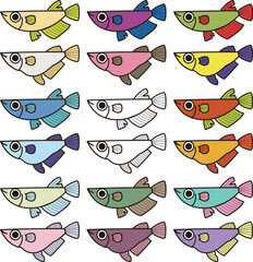 カラフルなメダカ