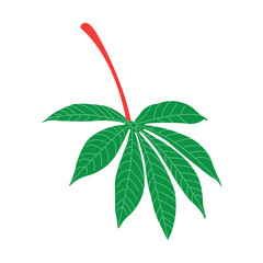 Cassava leaf icon