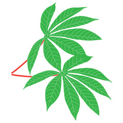 Cassava leaf icon