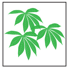 Cassava leaf icon