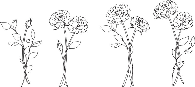 薔薇の花の線画イラスト。薔薇の線画ベクター手描きイラスト。白背景植物イラスト。Line drawing illustration of rose flower. Line drawing vector hand-drawn illustration of rose. White background plant illustration.