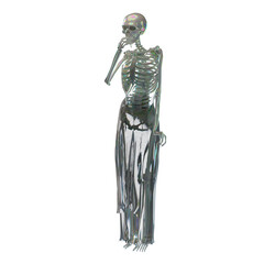 hallowen skull 3d human set