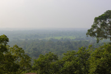Obraz premium The view from Sigiriya Lion Rock fortress, Sri Lanka