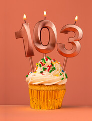 Candle number 103 - Cake birthday in coral fusion background