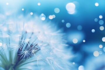 Generative AI : Beautiful shiny dew drops on a dandelion seed. Close-up macro. Sparkling bokeh. Water drops on a parachutes dandelion on a beautiful blue background. Soft dreamy tender artistic image.